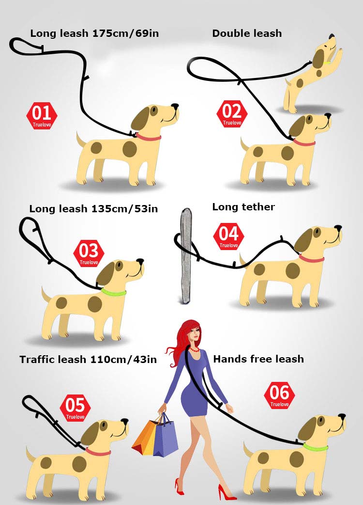 tether leash for dogs