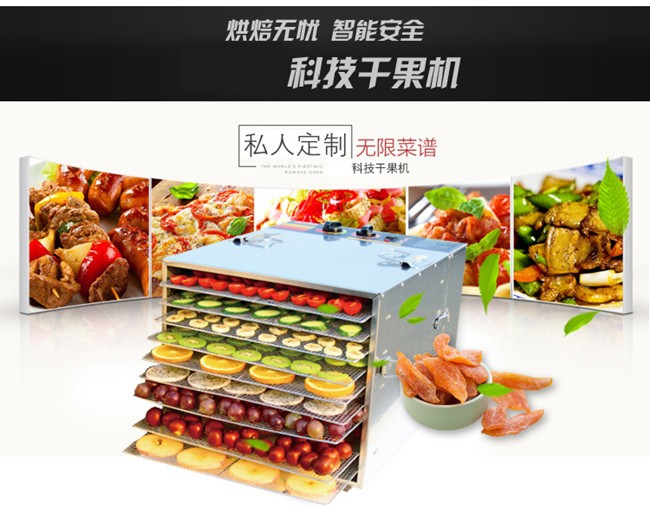 Home use food dehydrator (1.)