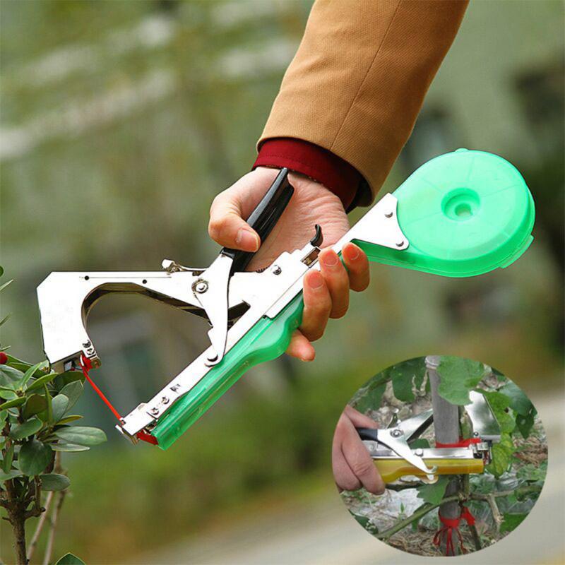 Creativo disegno del giardino promozione fai spesa di articoli in ... Piante disegno Giardino