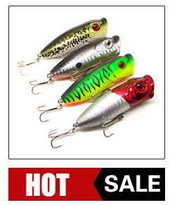 5566516_112445023388_2_02