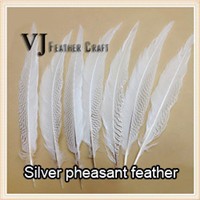 feather15
