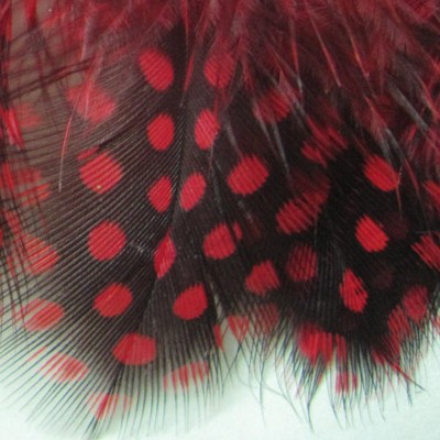 Colorful Petite Feather, 5-8 CM 500 Pieces Dot Dyed Guinea Fowl Feather , Feather Fabulous For Bags And Purses1
