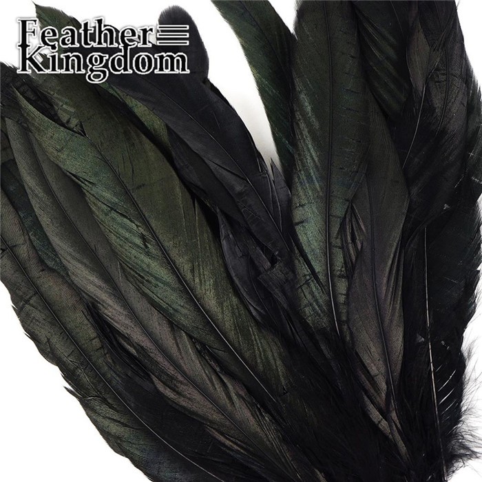 black rooster feather chicken feather cock feather