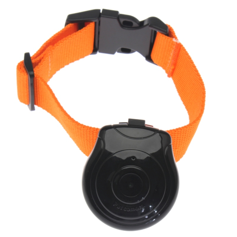 Online Buy Wholesale pet collar video camera from China pet collar