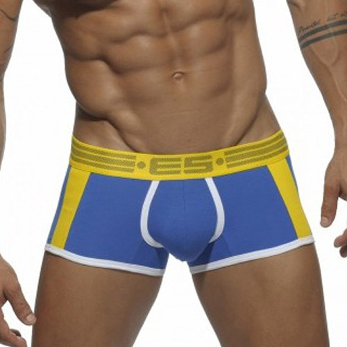 Sexy Men Underwear Boxer Shorts Brand ES Collection Popular 2015 New Mens Underwear Trunks Gay Penis