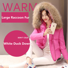 Fashion New Winter Large Real Raccoon Fur Collar Women Down Coat Short Casual Thick Slim White Down Jacket Ladies Down Parkas