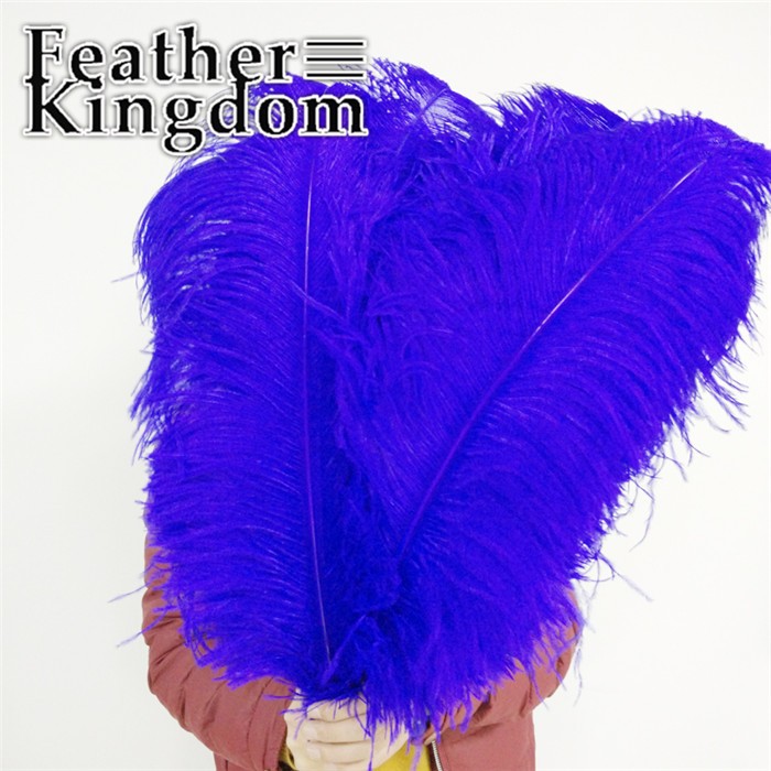 50-55cm royal blue ostrich feather