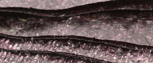 purple-seaweed