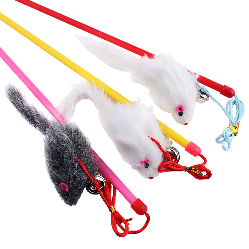 10 ./ Funny Cat             Pet Products CW-80009