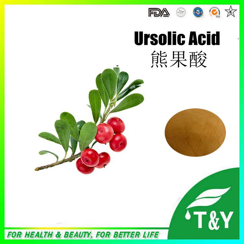 Hot sale Bearberry extract/Arbutin/alpha arbutin plant extract 400g/lot