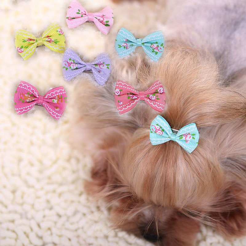 Popular Small Dog Hair AccessoriesBuy Cheap Small Dog Hair Accessories