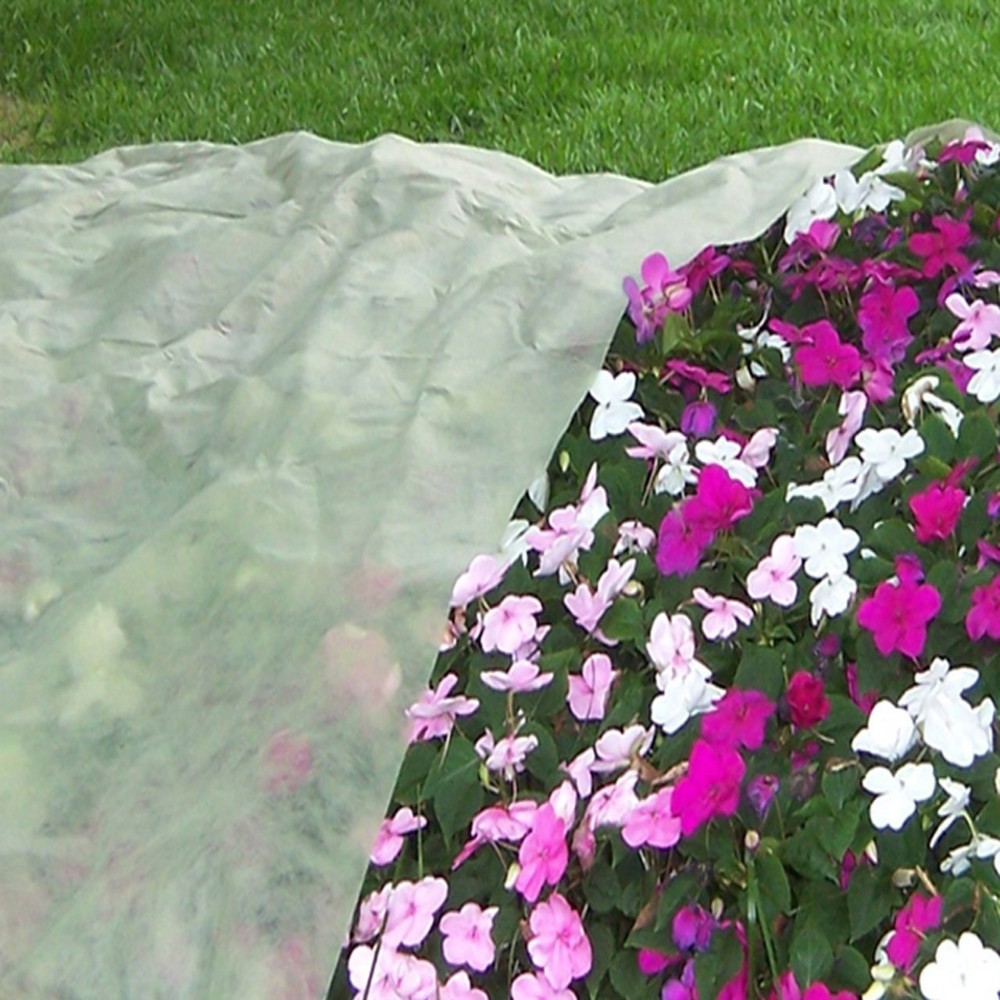 AAfrost blanketis very useful in safe-guarding yourAAfrost blanketis very useful in safe-guarding yourplantsthat are sensitive to extreme low temperatures from the cold. These adversely low temperatures sometimes AAfrost blanketis very useful in safe-guarding yourAAfrost blanketis very useful in safe-guarding yourplantsthat are sensitive to extreme low temperatures from the cold. These adversely low temperatures sometimes