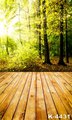 Autumn Sunshine Bokeh Backdrop 150 200cm With Floor Wood Photographic Background Marriage Wedding Family Studio Backdrops
