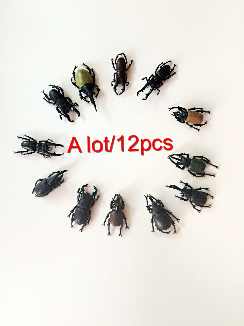 free shipping insect beetle style model early development 12pcs