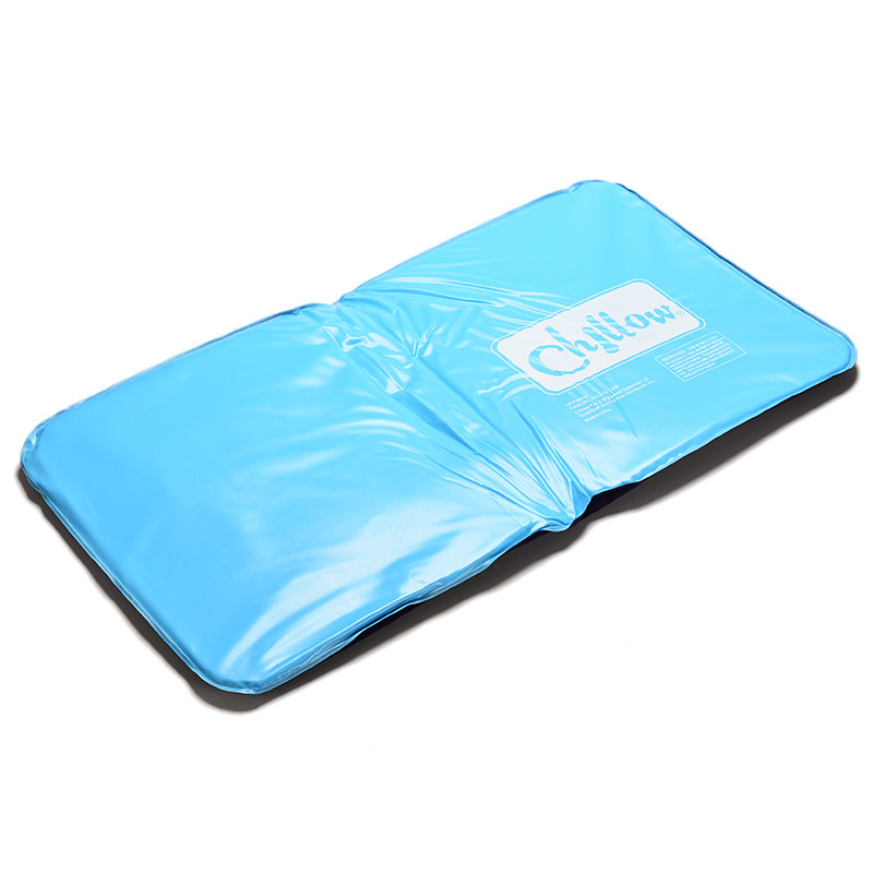 Ice Cold Pillow Cool Gel Hypoalergentic Non Toxic Aid Pad Muscle