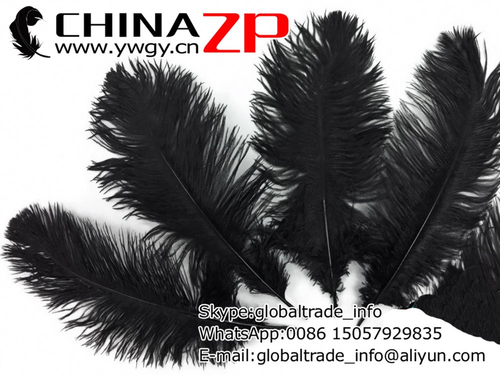 Ostrich Feathers, 10 Pieces - 9-10 BLACK Ostrich Drab Bleached Feathers3