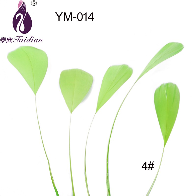 GREEN chicken pheasant plumage ym-014