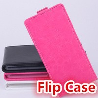 flip case 2