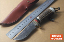 Damasco del cuchillo de caza fijo cuchillo que acampa de acero militar de la hoja del cuchillo de la supervivencia de la autodefensa GCC15094 exterior herramientas de utilidad