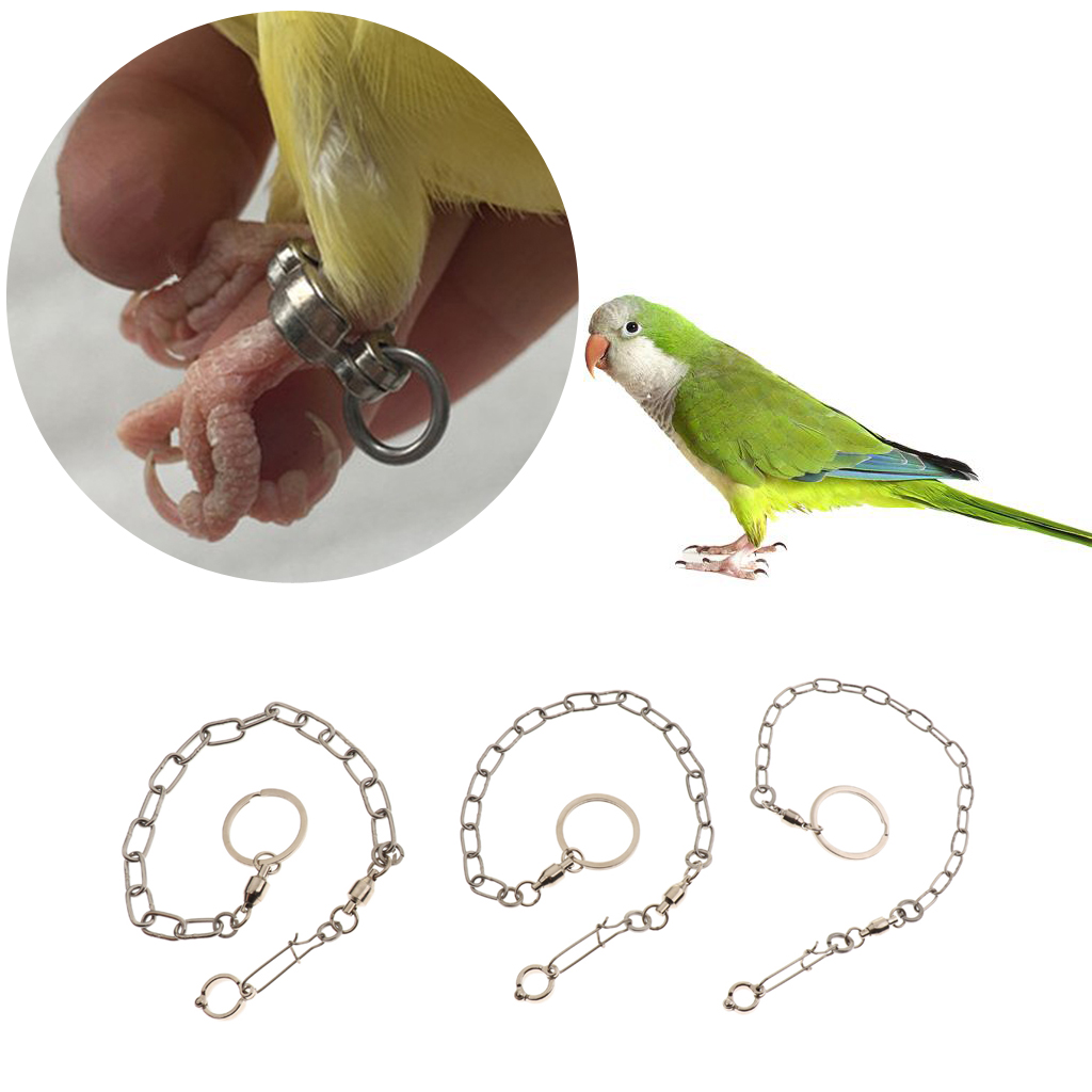 2 Pcs Pet Bird Leash Parrot Foot Chain 