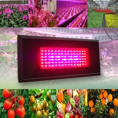 90W Full Spectrum LED Grow Lights With 90 Leds For Plants Hydroponics System Grow LED Plant Lamp Cultivo Indoor