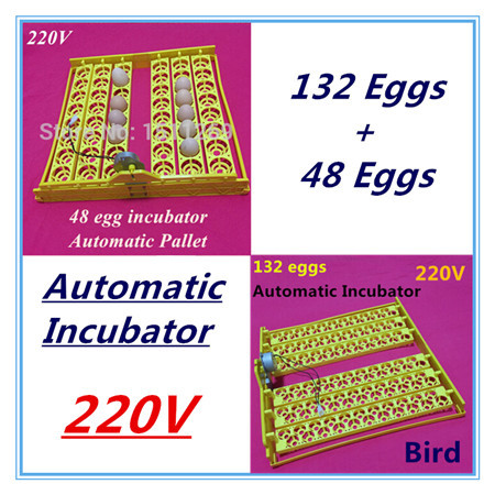 Sets Automatic Incubator tray 132 eggs (birds) 48 eggs Tray Quail 