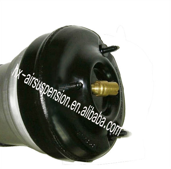 W220 s320 airmatic shock 3 (2)