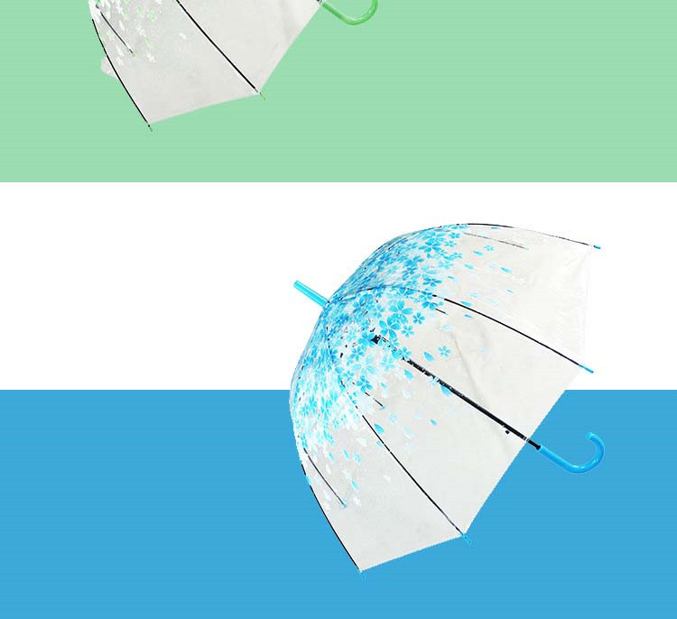 UMbrella paraguas Umbrella12.jpg