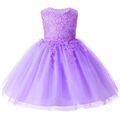 2017 Kids Tutu Birthday Princess Party Dress for Girls Infant Lace Children Bridesmaid Elegant Dress for