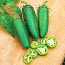 Free Shipping,100 Jalapeno Chile Pepper seeds  Fast Growing DIY Home Garden Vegetable Plant, most popular pepper