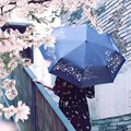 Non automatic sunnny umbrella 3 fold romantic sakura UV parasol rain women umbrella painting mujer parapluie