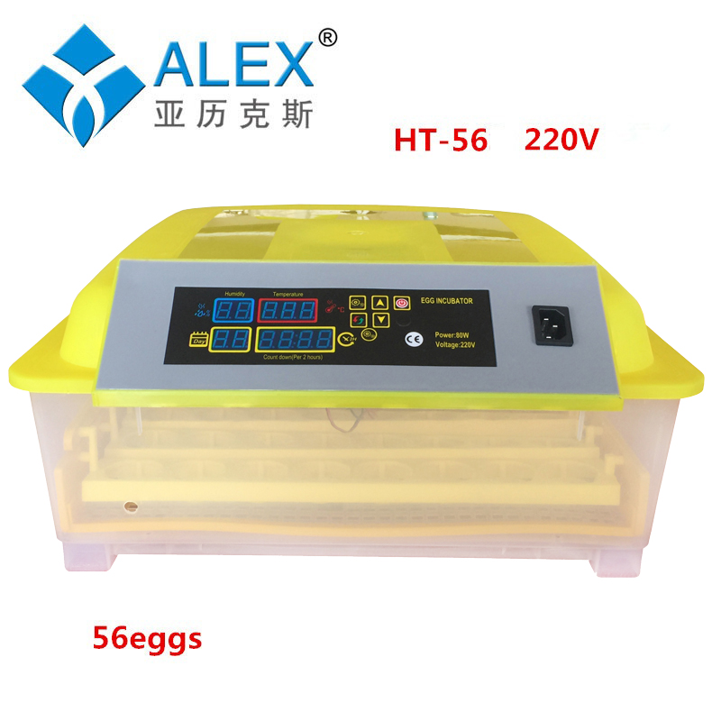 Incubator for Chicken quail eggs LED Display Turning Time Temperature 