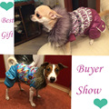 High Quality Autumn Winter Pet Dog Clothes Clothing Jacket Coat Purple Red for Small Pet Dog