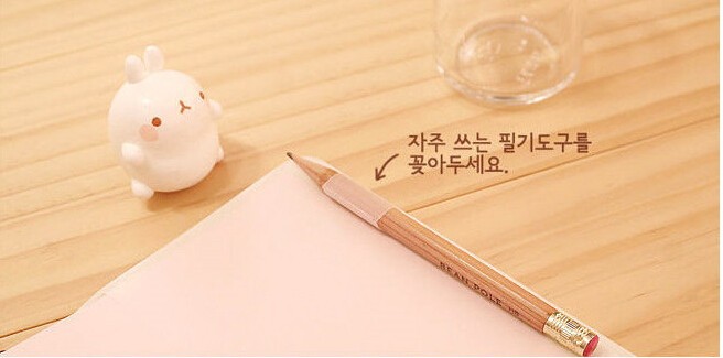 2015-2016 Cute Kawaii Notebook Cartoon Molang Rabbit Journal Diary Planner Notepad for Kids Gift Korean Stationery27