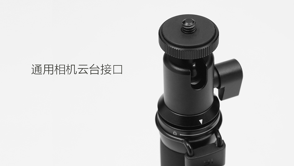 zipaiganlanyaliuyiqi_09