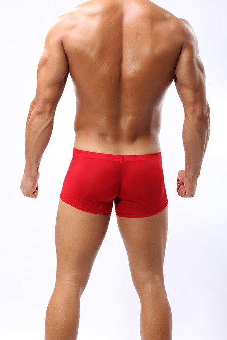 underwear men boxer