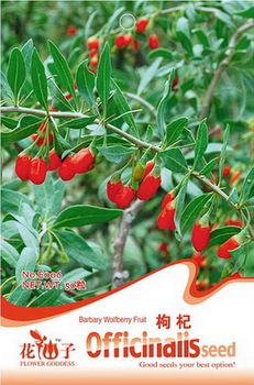 Heirloom Chinese Ningxia Goji Barbary Wolfberry Herb Seeds, Original Pack, 50 Seeds / Pack, Organic Goji Berry Lycium E006