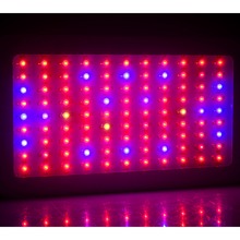 300w LED Grow Lights Full Spectrum Hydroponic Systems Best for Medicinal Plant Growth Flowering