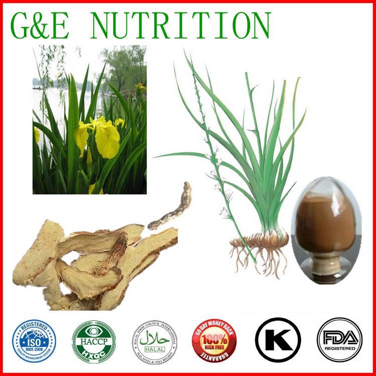 100% Pure Natural Organic Rhizoma Anemarrhenae extract