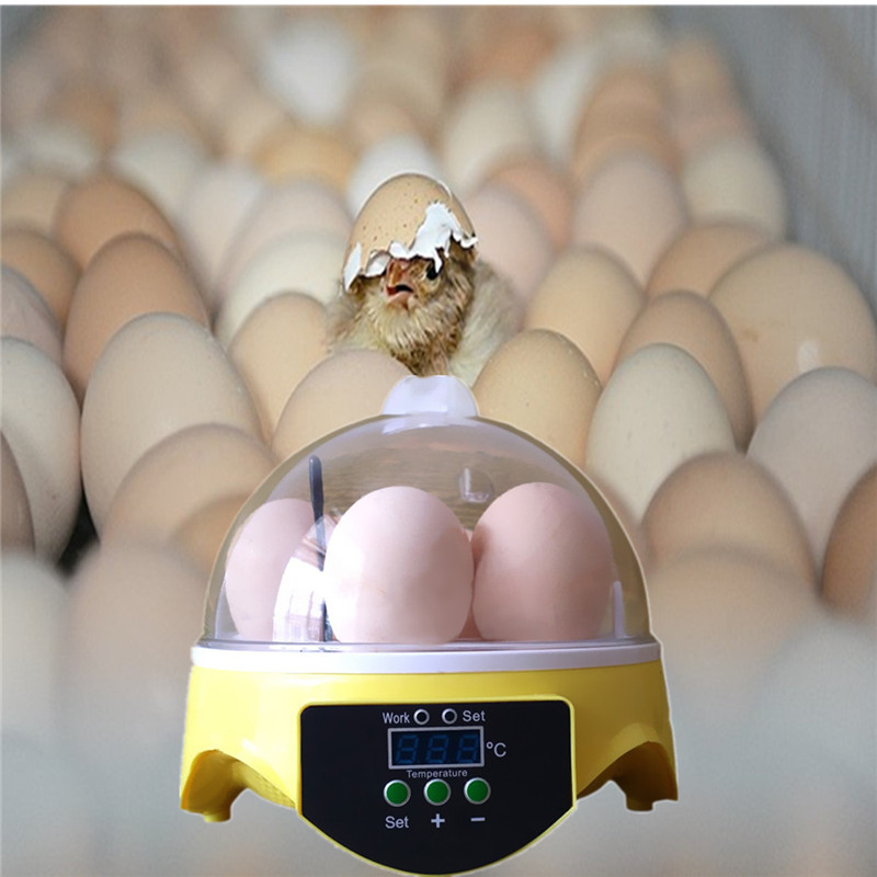 High-Quality-Home-Mini-Digital-Eggs-Incubator-For-Hatching-7-Eggs 