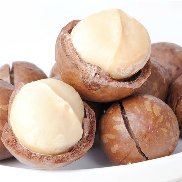 150g 3 creamy macadamia nut thin shell zero food specialty products food goods