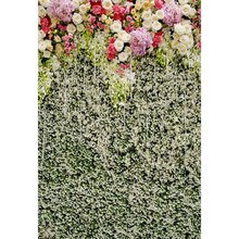 2016 Free shipping vintage 5x7ft vinyl backdrop backgrounds for photo studio children shooting Computer Painted Backdrops P0891