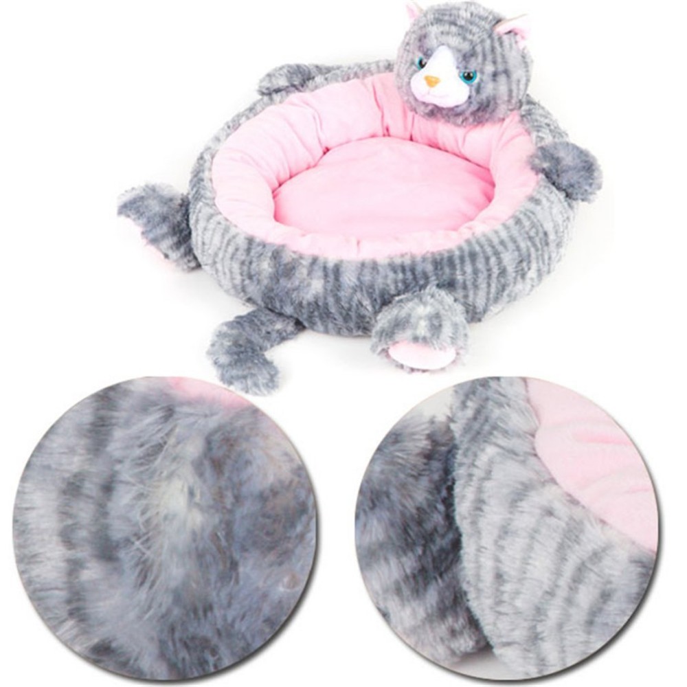 61%2BZUQCUWsL._SL1010_