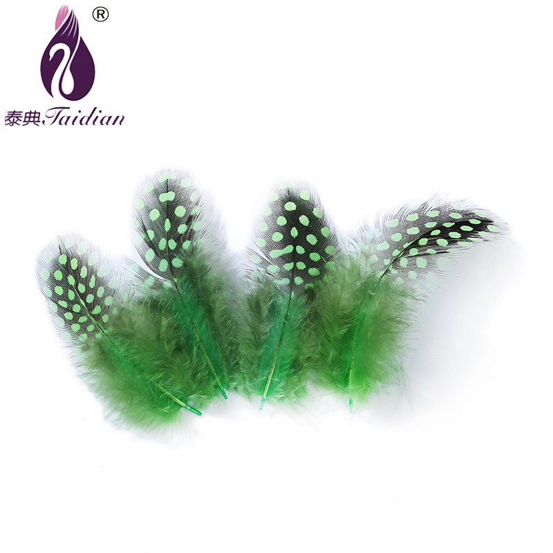 YM-042-8# Guinea pearl Fowl Feather`