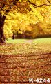 Autumn Yellow Leaves Falling Artistic Conception Adult Wedding Photographic Background Muslin 5x7ft Cloth Backdrops Photo Studio