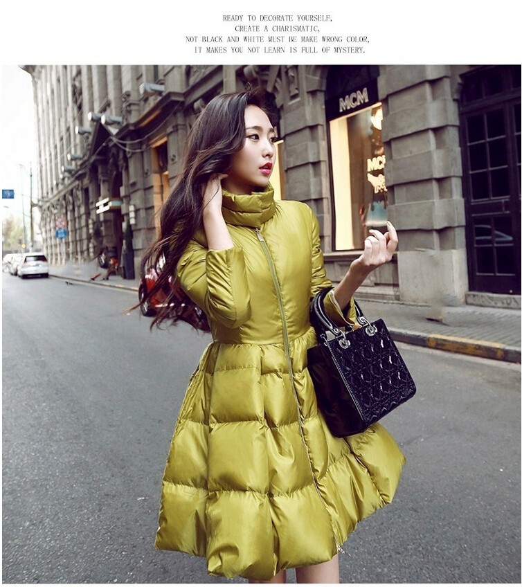 Winter jacket Women Winter Warm Down Coat Long Sleeve Solid A Line Long Jacket Coat Women Europe Stand Collar Down Coat (10)