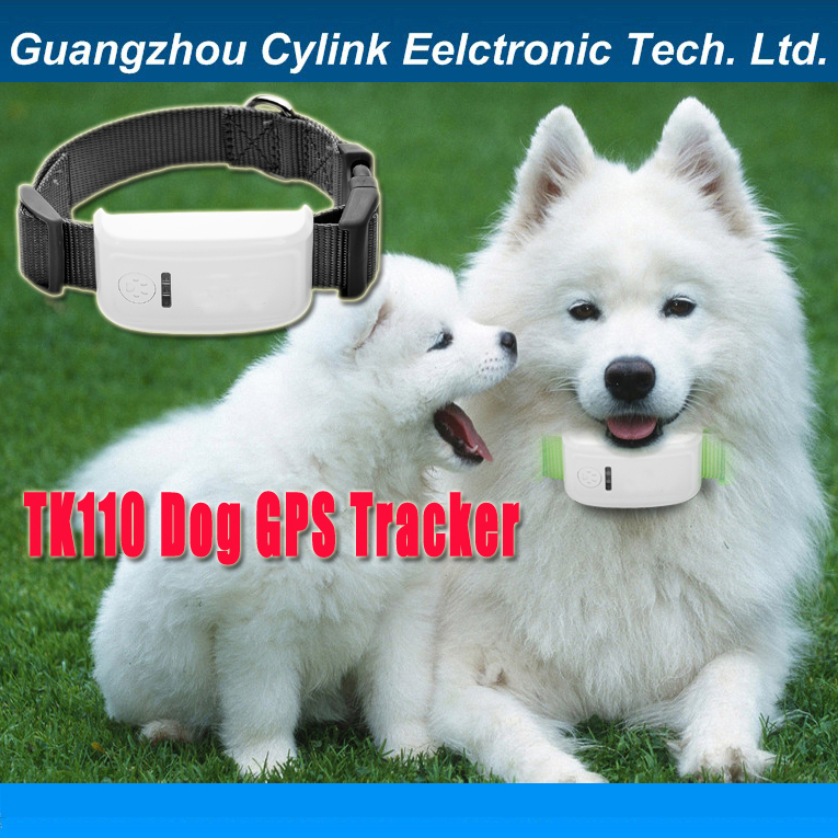 Cylink - tk110 pet gps   , geofence,   / , ip65 ,    sms, ios  android 