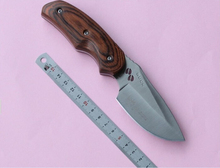 BUCK 076 Pocket Hunting Knife Outdoor Survival Camping straight elk Knife Small hunting Knife combat knife gift for real man