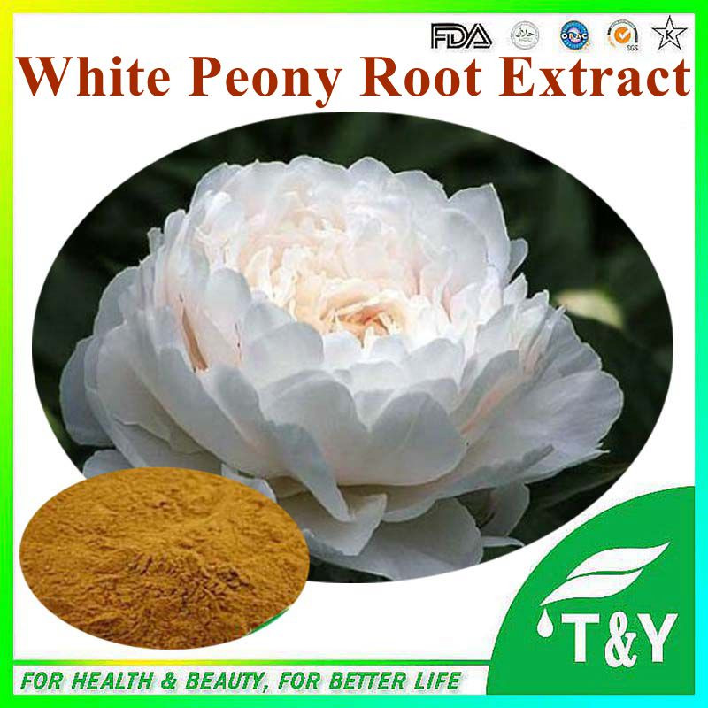 100% Natural supply Red Peony Extract/White peony root extract/White Peony Extract P.E