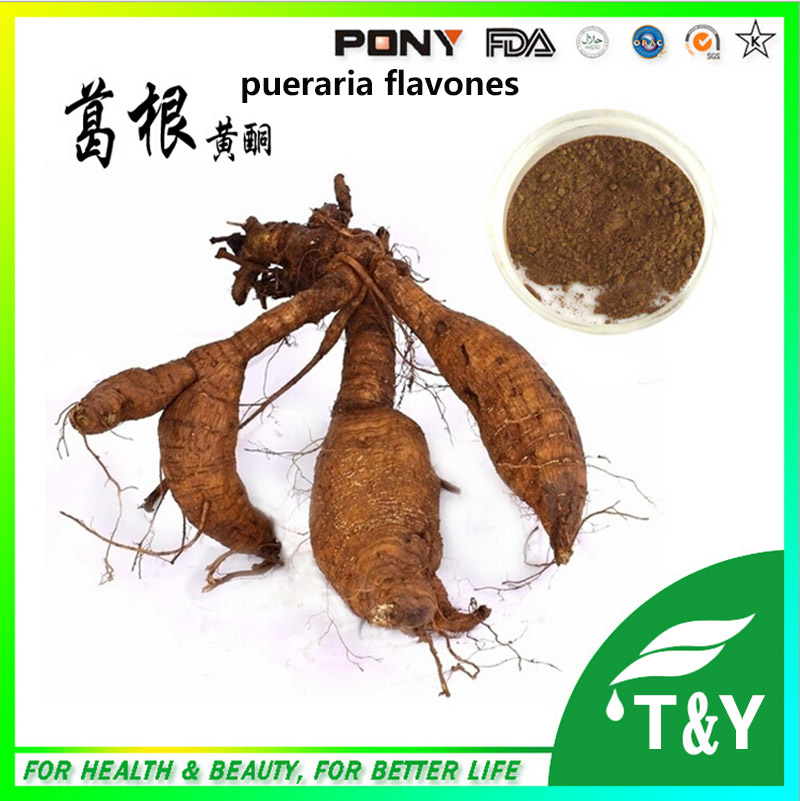 Natural Puerarin / Kudzu Root Extract/ kudzuvine root 800g/lot